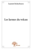 Laurent Etchechoury - Les larmes du volcan.