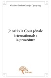 Godfroy-luther Gondje-djanayang - Je saisis la cour pénale internationale : la procédure.