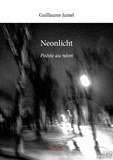 Guillaume Jumel - Neonlicht - Poésie au néon.
