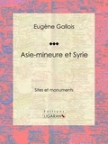  Eugène Gallois et  Ligaran - Asie-Mineure et Syrie - Sites et monuments.