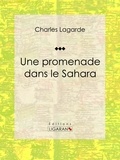 Charles Lagarde et Charles Joliet - Une promenade dans le Sahara.