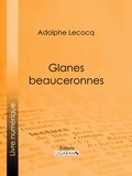  Adolphe Lecocq et  Ligaran - Glanes beauceronnes.