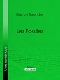 Gaston Tissandier et  Collectif - Les Fossiles.
