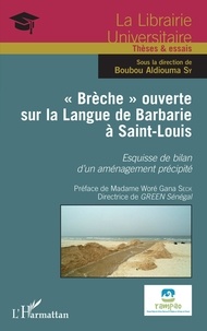 Boubou Aldiouma Sy - "Brèche" ouverte sur la Langue de Barbarie à Saint-Louis - Esquisse de bilan d'un aménagement précipité.