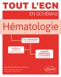 Sylvain Carras - Hématologie - Tout le programme en images et en schémas.