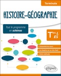 Frédéric Testu - Histoire-géographie Tle L et ES - Tout le programme en schémas.