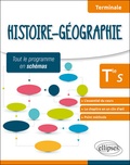  Gomez - Histoire-géographie Tle S, tout le programme en schémas.
