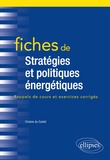 Viviane Du Castel - Fiches de stratégies et politiques énergétiques.