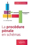 Johan Dechepy-Tellier - La procédure pénale en schémas.