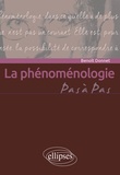 Benoit Donnet - La phénoménologie.