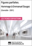  Encyclopaedia Universalis - Figures parfaites. Hommage à Emmanuel Sougez (Grenoble - 2001) - Les Fiches Exposition d'Universalis.