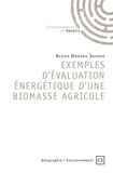 Alexis Drogba Sahoré - Exemples d'évaluation énergétique d'une biomasse agricole.