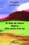 SONIA COMBONI - El Valle de Chalco-Mexico-ville sortie d'un lac.
