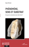 Michel Beat - Phénomène, sens et substrat - De quoi la conscience est-elle faite ?.