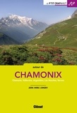 Jean-Marc Lamory - Autour de Chamonix.