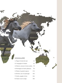 Un monde de chevaux