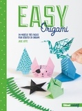 Julie Lotte - Easy Origami - 24 modèles très faciles pour débuter en origami.