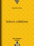 Sophie Gay - Salons célèbres.