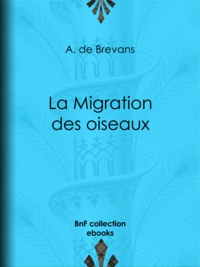 A. de Brevans et Edouard Riou - La Migration des oiseaux.