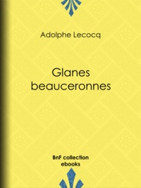 Adolphe Lecocq - Glanes beauceronnes.