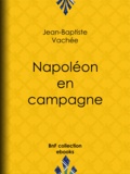 Jean-Baptiste Vachée - Napoléon en campagne.
