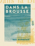 Paul Bonnetain - Dans la brousse - Sensations du Soudan.