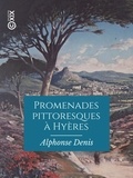 Alphonse Denis - Promenades pittoresques à Hyères - Notice historique et statistique sur cette ville, ses environs et les îles.