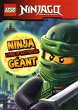  Ameet - Lego Ninjago - Ninja livre d'activités géant.