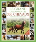  Editions 365 - Le grand calendrier des 365 chevaux 2014.