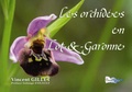 Vincent Gillet - Les orchidées en Lot-et-Garonne.