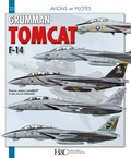 Pierre-Alain Lambert - Grumman F-14 Tomcat.