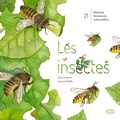 Claire Lecoeuvre et Capucine Mazille - Les insectes.