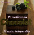 Fanny Matagne - Le meilleur du Chocolat.
