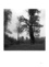 Roger-Yves Roche et Max Barboni - Etre arbre - Vingt-sept photographies de Max Barboni.