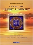 Tenzin Wangyal Rinpoché - L'éveil de l'esprit lumineux - Méditation tibétaine pour la joie et la paix intérieures. 1 CD audio
