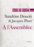 Sandrine Doucet et Jacques Pinet - A l'assemblée - Lettres du 10 août 1792, au 21 janvier 1793.