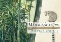 Stefano Faravelli - Madagascar, stupeur verte - Carnet d'un voyage en forêt équatoriale.