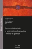 Sophie Bretesché et Pierre-Antoine Chardel - Transition industrielle et organisations émergentes : l'éthique en question.