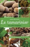 Joëlle Delange - Le tamarinier - Un arbre magique.