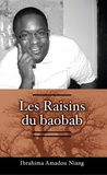 Ibrahima Amadou Niang - Les Raisins du baobab.