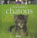 Yann Belloir - Adorables chatons.