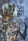 Daniel Pozner - Cailloux !.