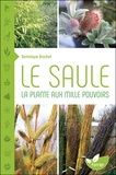 Dominique Brochet - Le saule - La plante aux mille pouvoirs.