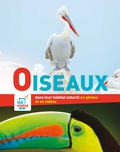  Idées Book - Oiseaux dans leur habitat naturel en photos et en vidéos.