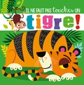 Rosie Greening et Stuart Lynch - Il ne faut pas toucher un tigre !.
