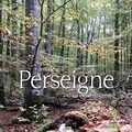  L'Etrave - Forêt de Perseigne - La belle discrète.