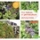 Hervé Chabert - Mon balcon en permaculture - Légumes, fruits, aromatiques, plantes sauvages comestibles....