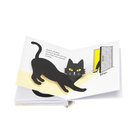Coffret en 2 volumes : Chat noir ; Chat blanc