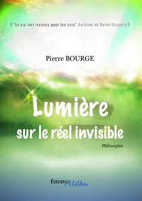 Pierre Bourge - Lumière sur le réel invisivible.