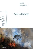 David Hennebelle - Vers la flamme.
